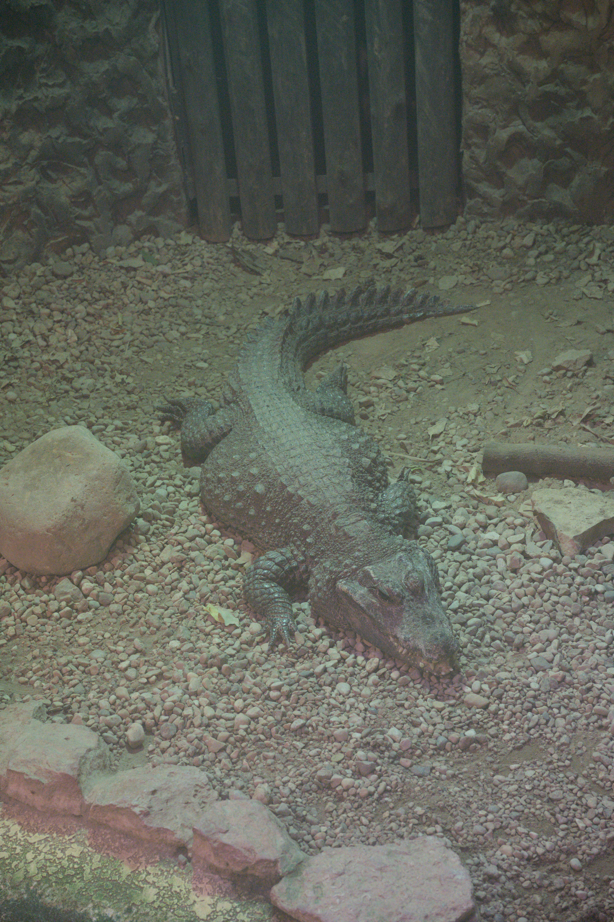 2025/10/12 - zoo/DSC_0154.jpg